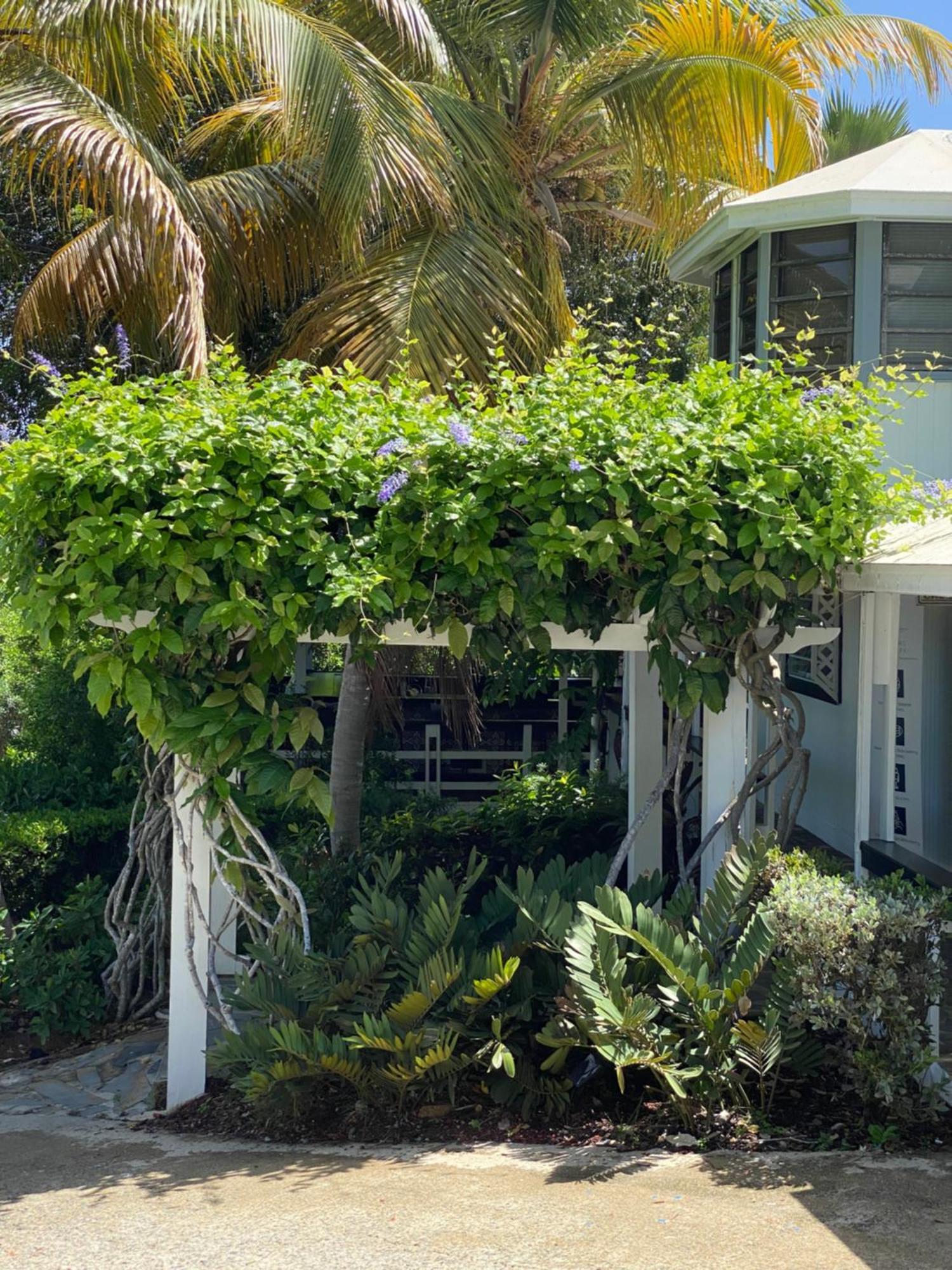 Club Seabourne Hotel Isla Culebra Esterno foto